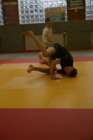 Judolehrgang Bodentechniken / SV / Treechallenge