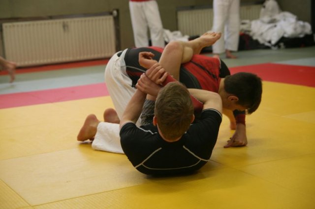 Judolehrgang Bodentechniken / SV / Treechallenge
