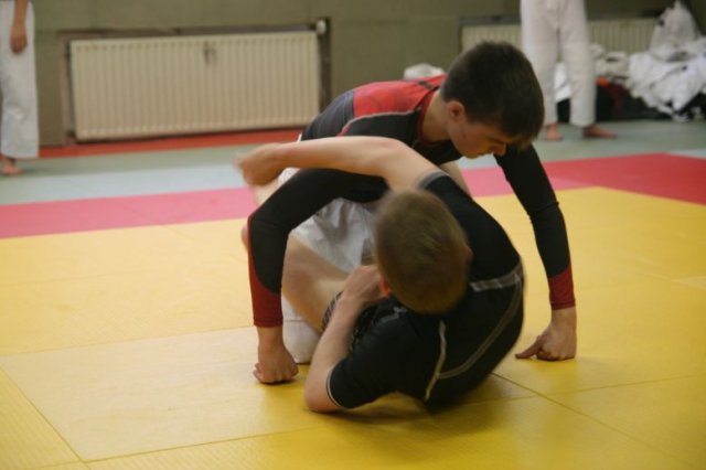 Judolehrgang Bodentechniken / SV / Treechallenge