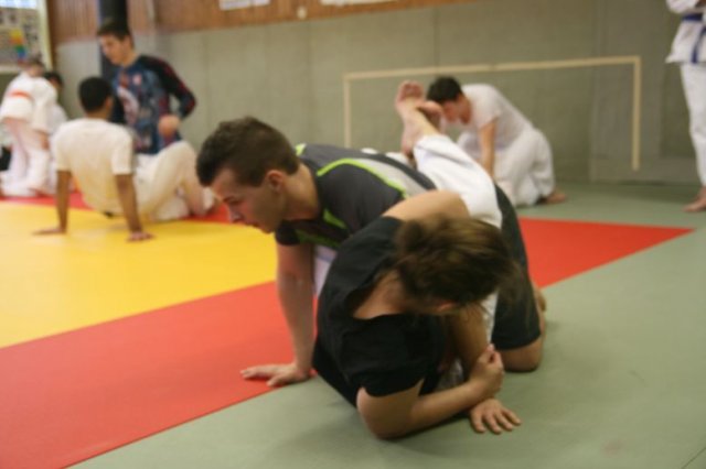Judolehrgang Bodentechniken / SV / Treechallenge