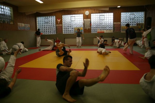 Judolehrgang Bodentechniken / SV / Treechallenge