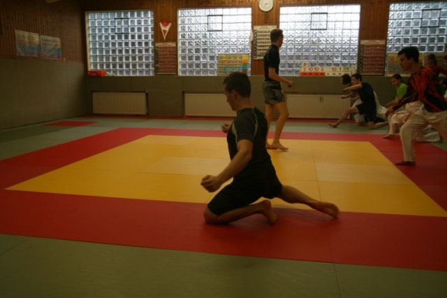Judolehrgang Bodentechniken / SV / Treechallenge