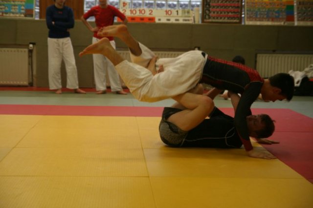 Judolehrgang Bodentechniken / SV / Treechallenge