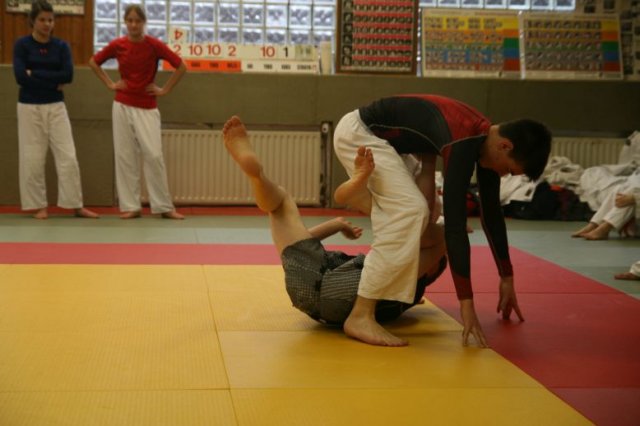 Judolehrgang Bodentechniken / SV / Treechallenge