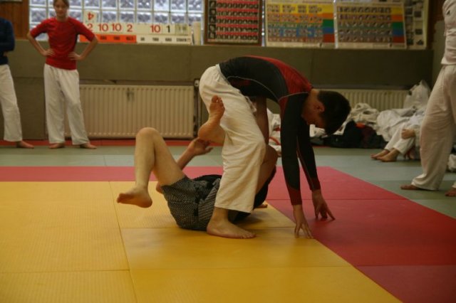 Judolehrgang Bodentechniken / SV / Treechallenge