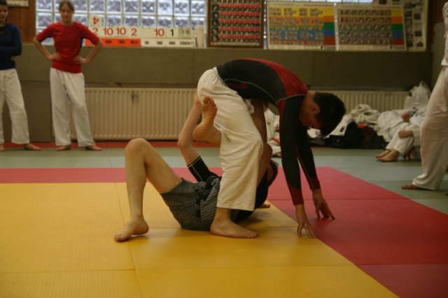 Judolehrgang Bodentechniken / SV / Treechallenge