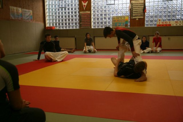 Judolehrgang Bodentechniken / SV / Treechallenge