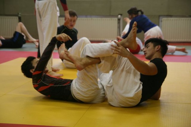 Judolehrgang Bodentechniken / SV / Treechallenge