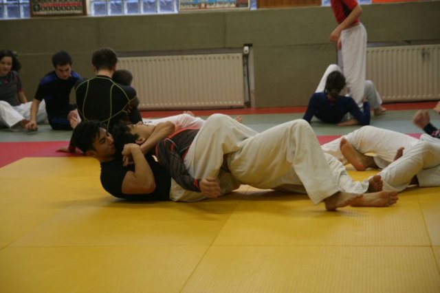 Judolehrgang Bodentechniken / SV / Treechallenge