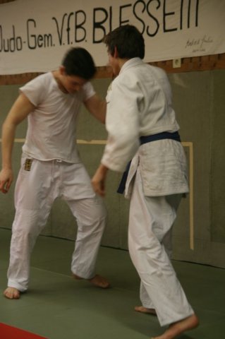 Judolehrgang Bodentechniken / SV / Treechallenge