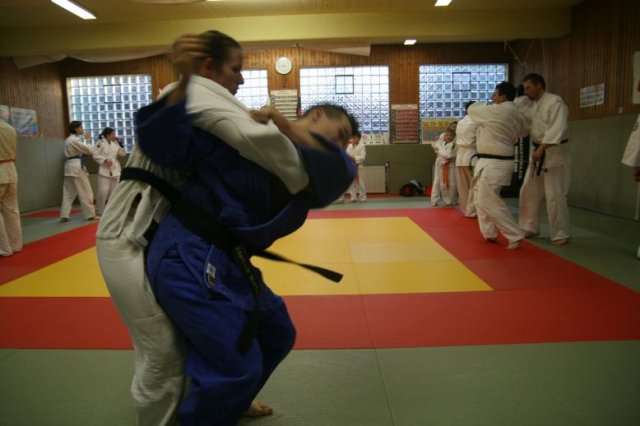 Judolehrgang Bodentechniken / SV / Treechallenge