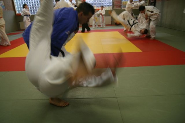 Judolehrgang Bodentechniken / SV / Treechallenge