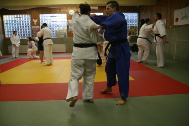 Judolehrgang Bodentechniken / SV / Treechallenge
