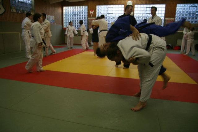 Judolehrgang Bodentechniken / SV / Treechallenge