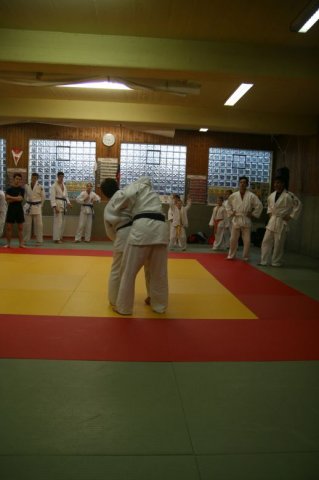 Judolehrgang Bodentechniken / SV / Treechallenge