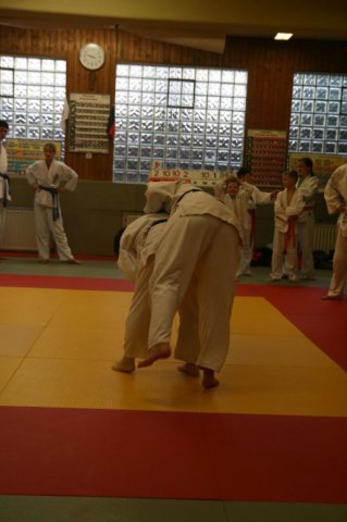 Judolehrgang Bodentechniken / SV / Treechallenge
