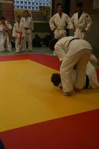 Judolehrgang Bodentechniken / SV / Treechallenge