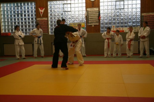 Judolehrgang Bodentechniken / SV / Treechallenge
