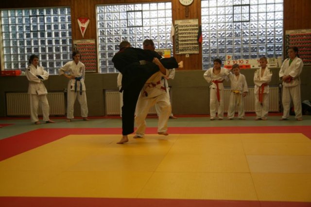 Judolehrgang Bodentechniken / SV / Treechallenge