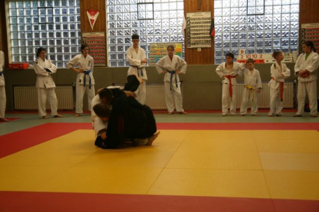 Judolehrgang Bodentechniken / SV / Treechallenge