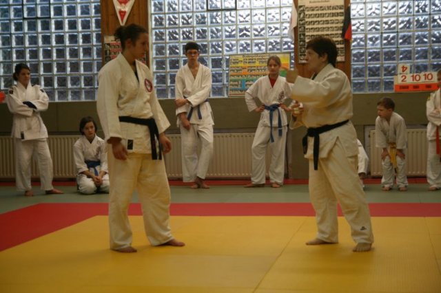 Judolehrgang Bodentechniken / SV / Treechallenge