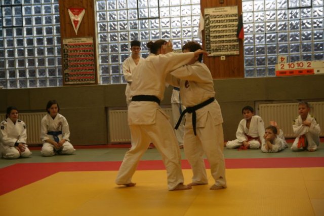 Judolehrgang Bodentechniken / SV / Treechallenge