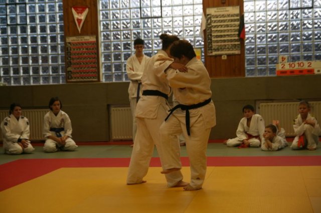 Judolehrgang Bodentechniken / SV / Treechallenge