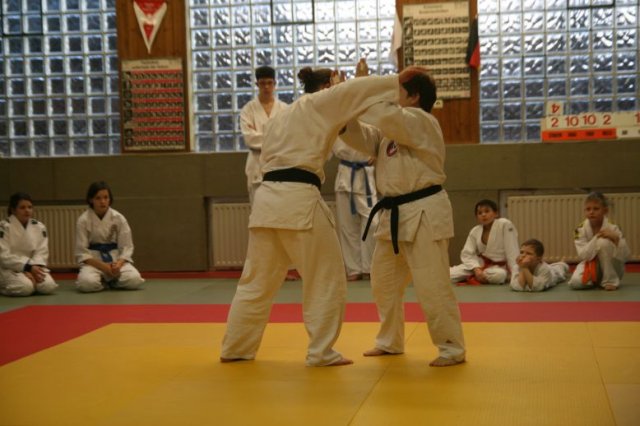 Judolehrgang Bodentechniken / SV / Treechallenge