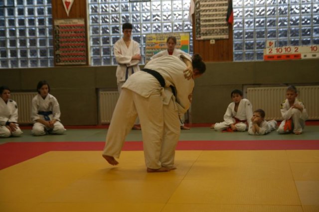 Judolehrgang Bodentechniken / SV / Treechallenge