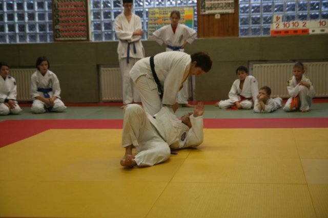 Judolehrgang Bodentechniken / SV / Treechallenge