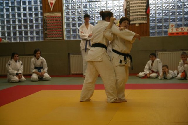 Judolehrgang Bodentechniken / SV / Treechallenge