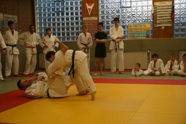 Judolehrgang Bodentechniken / SV / Treechallenge