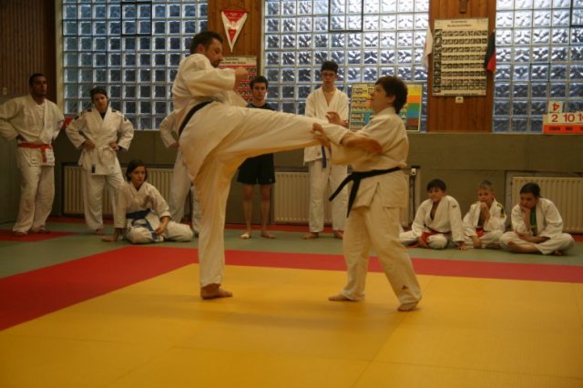 Judolehrgang Bodentechniken / SV / Treechallenge