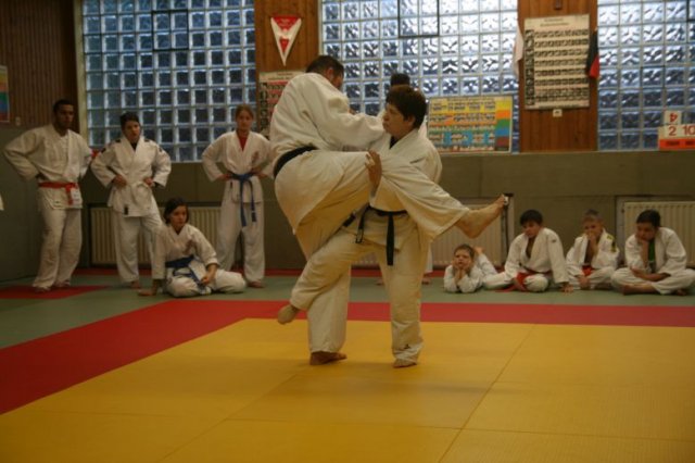 Judolehrgang Bodentechniken / SV / Treechallenge