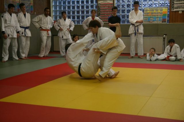 Judolehrgang Bodentechniken / SV / Treechallenge