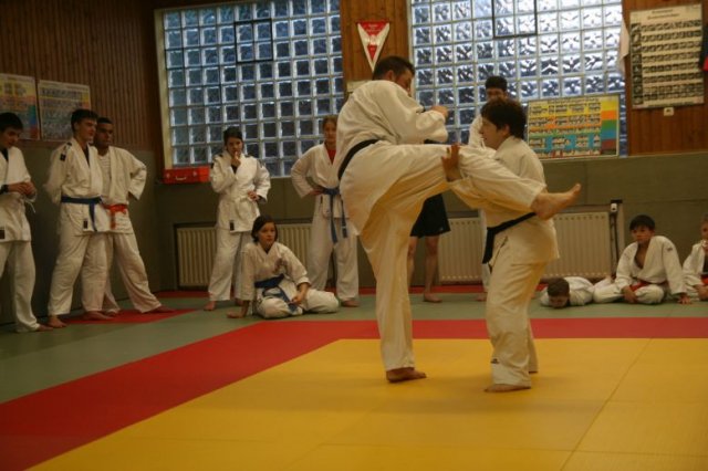 Judolehrgang Bodentechniken / SV / Treechallenge