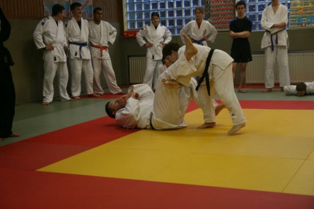 Judolehrgang Bodentechniken / SV / Treechallenge
