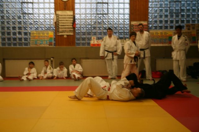 Judolehrgang Bodentechniken / SV / Treechallenge