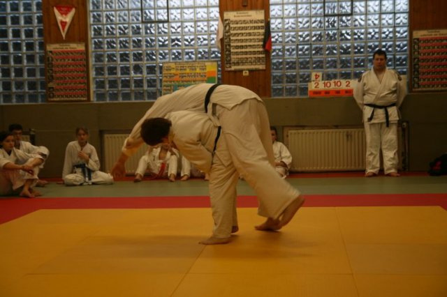 Judolehrgang Bodentechniken / SV / Treechallenge