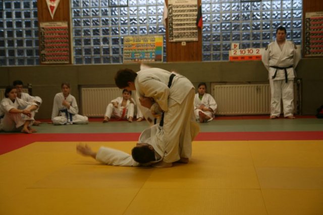 Judolehrgang Bodentechniken / SV / Treechallenge