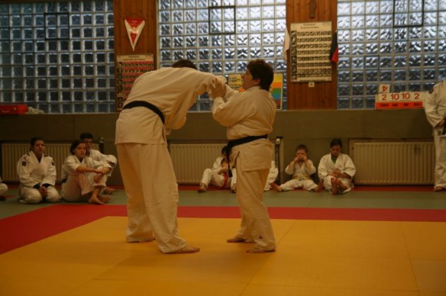 Judolehrgang Bodentechniken / SV / Treechallenge