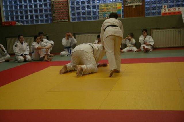 Judolehrgang Bodentechniken / SV / Treechallenge
