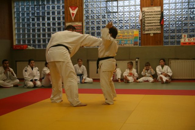 Judolehrgang Bodentechniken / SV / Treechallenge
