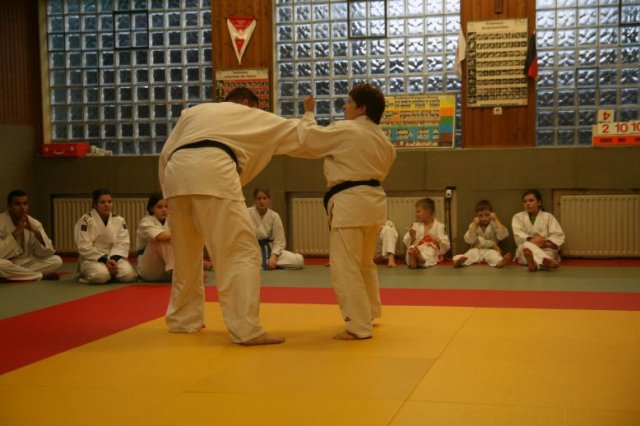 Judolehrgang Bodentechniken / SV / Treechallenge