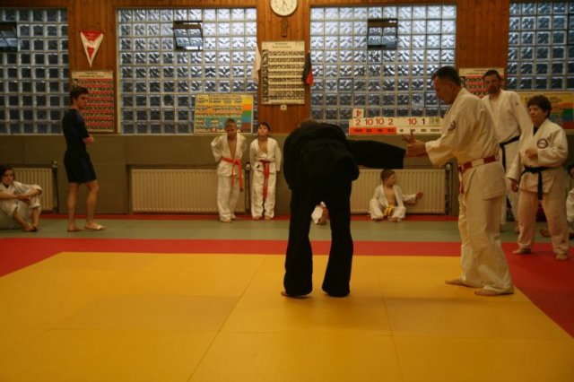 Judolehrgang Bodentechniken / SV / Treechallenge