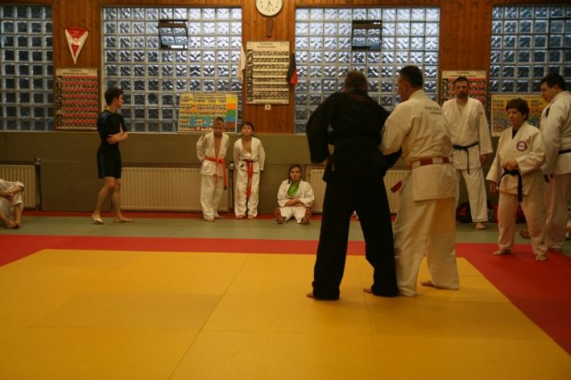Judolehrgang Bodentechniken / SV / Treechallenge