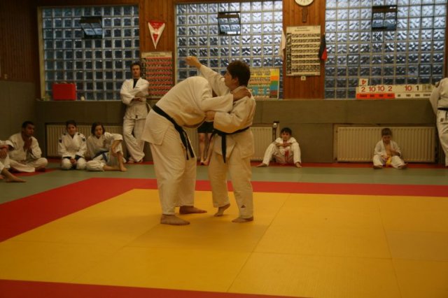 Judolehrgang Bodentechniken / SV / Treechallenge