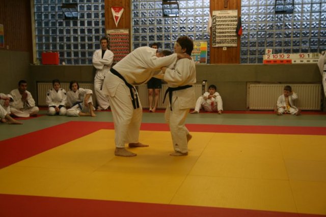 Judolehrgang Bodentechniken / SV / Treechallenge
