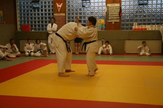 Judolehrgang Bodentechniken / SV / Treechallenge