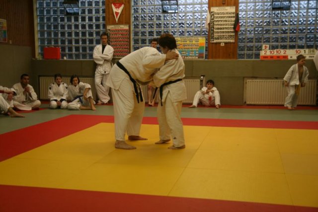 Judolehrgang Bodentechniken / SV / Treechallenge